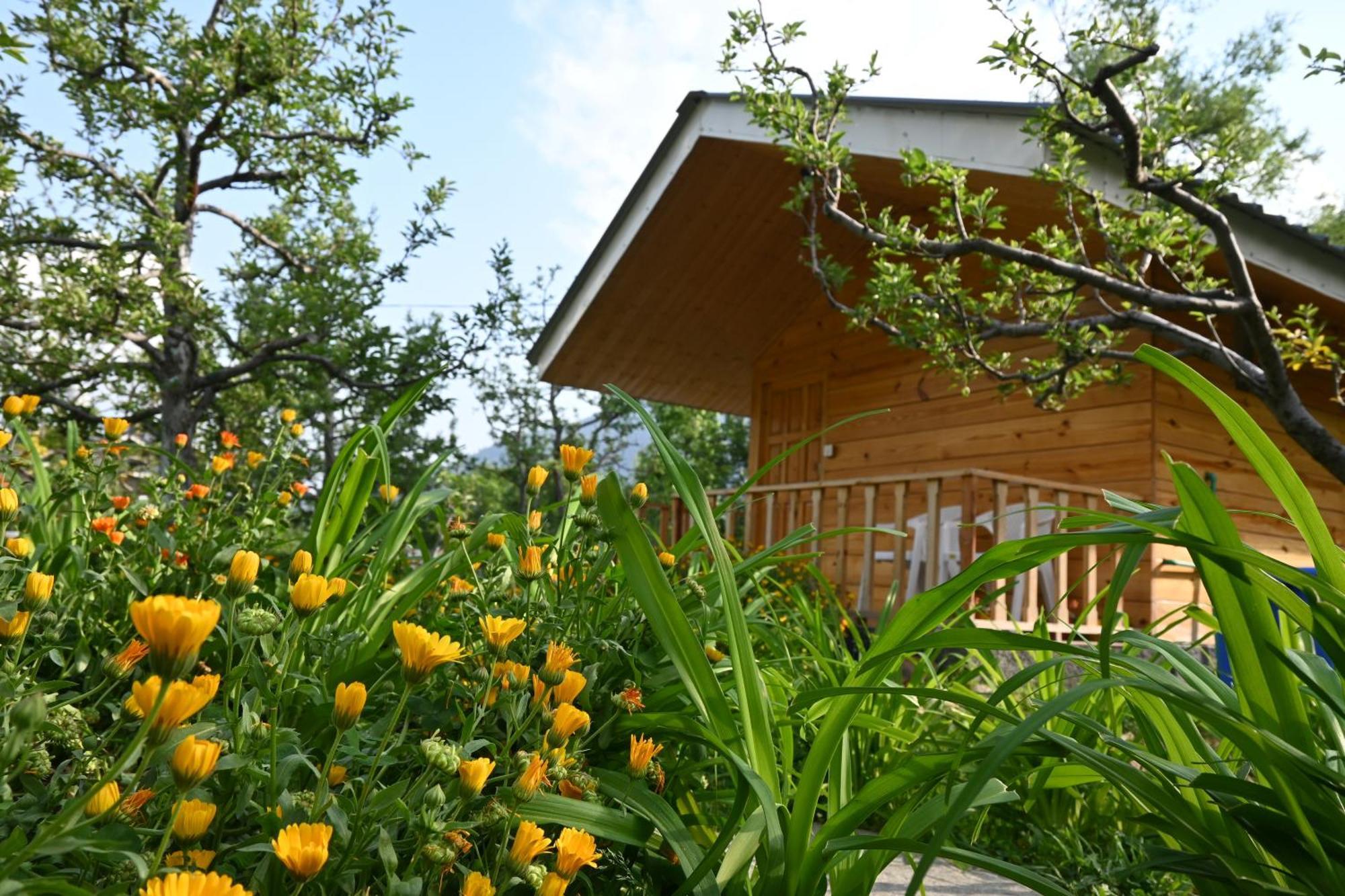 Cascade Mountain Retreat Manali Bed & Breakfast Exterior photo